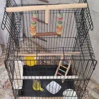 قفس لانه عروس