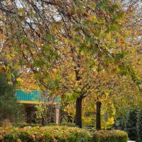 عینک آفتابی گمشده