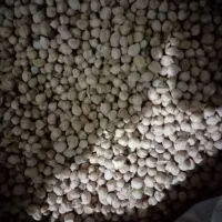 نخوددیم زودپز