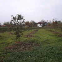زمین-موقعیت-باغچه-روستای-صالح-اباد