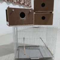 قفس پرنده و لانه