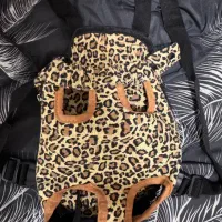 آغوش سگ و گربه