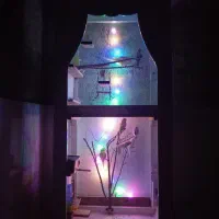 قفس پرنده خونگی
