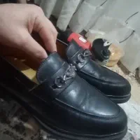 کفش مردانه بوشهر