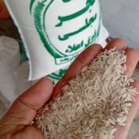 برنج شیرآباد
