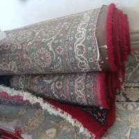 قالی|فرش|جوانرود, |دیوار
