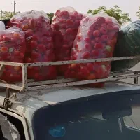 باربند پیکان سواری