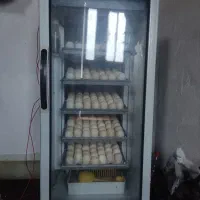 دستگاه جوجه کشی