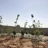 400مترباغچه