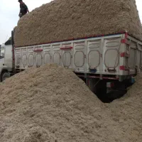 توزیع محصولات نیشکر تفاله کاه