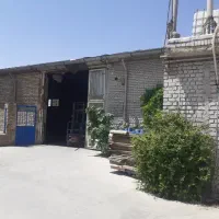 نیرو کار
