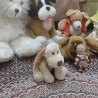 عروسک|اسباب‌‌بازی|کرج, خرمدشت|دیوار