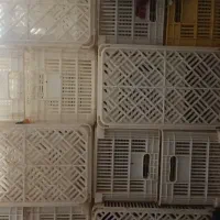 سبد روژین تاک