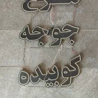 تابلو|فروشگاه و مغازه|مشهد, مهدی آباد|دیوار