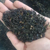 چای ممتاز بهاره 1405