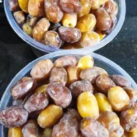 رطب گنتار عسلی