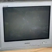 تلویزیون