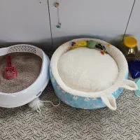 وسایل گربه نو