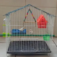 یک جفت فنچ سالم و بالغ با قفس و تمام وسایل