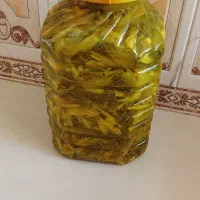 ترشی بیلهر تازه