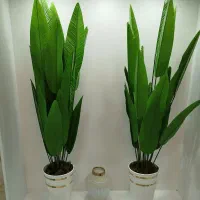 گل مصنوعی