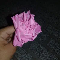 گل محمدی