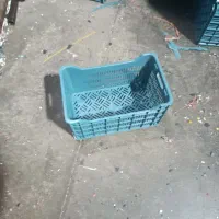 سبد گوجه ای بزرگی