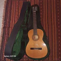 گیتار steve
