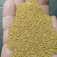 بذر  یونجه صدرا پایه بلند کشاورزی