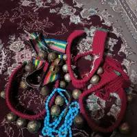 زنگوله