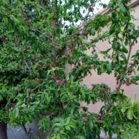 نیازمندکار