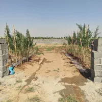 300متر چهار دیواری ماهدشت پیشک 3