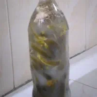 خیارشور بطری تردو خوشمزه با ادویه  فراوان