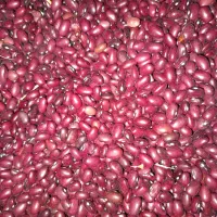 لوبیا قرمز