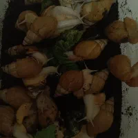 فروش یا معاوضه باهرچی