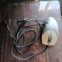 موس جینیس
