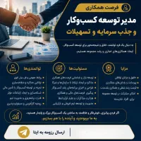 مدیر توسعه کسب‌وکار