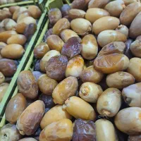 رطب درجه یک ،چین روز دشتستان