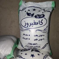 برنج کامفیروزی