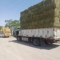 فروش بیده پرس یونجه