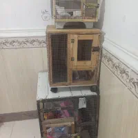 قفس|لوازم جانبی حیوانات|بوشهر, |دیوار