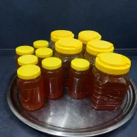 عسل گون