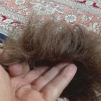 پروتز مردانه طبیعی وارداتی