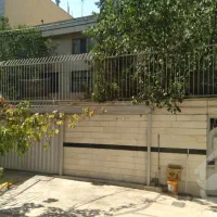 کلنگی-780-متری-باکس-پونک