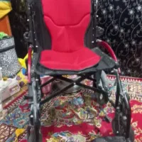 ویلچر