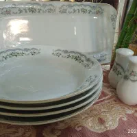 چینی گل حمید