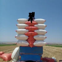 کاه گندم جو نخود درجه یک
