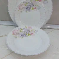 سرویس ارکپال ۱۲ نفره