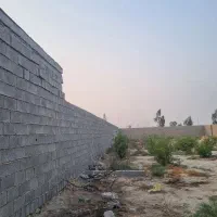 باغ چهاری پیله وران ،ازیران ،روران قیمت کف بازار