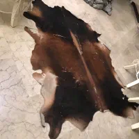 پوست گاو